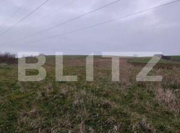 Teren de vânzare Ghercesti - 183950TV | BLITZ Craiova | Poza3