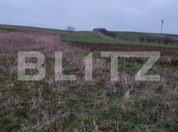 Teren de vânzare Ghercesti - 183950TV | BLITZ Craiova | Poza2