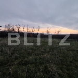 Teren de vânzare Ghercesti - 183950TV | BLITZ Craiova | Poza1