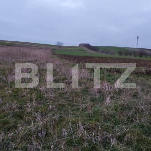 Teren de vânzare Ghercesti - 183950TV | BLITZ Craiova | Poza2