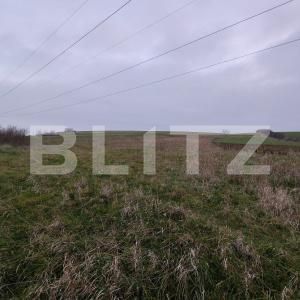 Teren de vânzare Ghercesti - 183950TV | BLITZ Craiova | Poza3