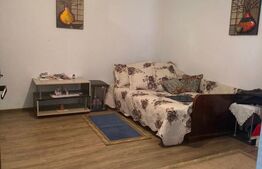 OCAZIE Casa 133 mp utili, 3300 mp teren, Ciutura 