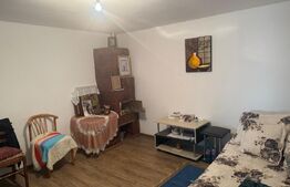 OCAZIE Casa 133 mp utili, 3300 mp teren, Ciutura 