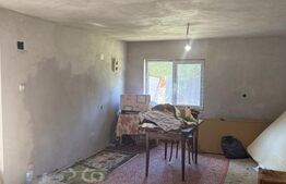 OCAZIE Casa 133 mp utili, 3300 mp teren, Ciutura 