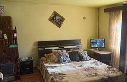 OCAZIE Casa 133 mp utili, 3300 mp teren, Ciutura 