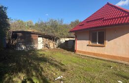 OCAZIE Casa 133 mp utili, 3300 mp teren, Ciutura 