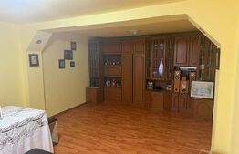 Casa 133 mp utili, 3300 mp teren, Ciutura