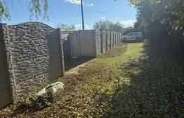 OCAZIE Casa 133 mp utili, 3300 mp teren, Ciutura 
