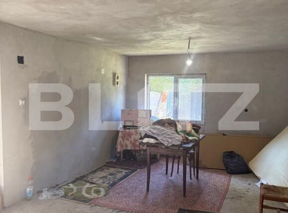 Casa de vânzare 5 camere Ciutura - 183951CV | BLITZ Craiova | Poza18