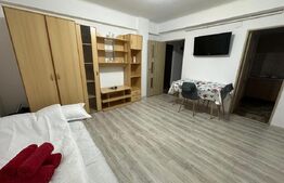 Garsonieră de închiriat 1 Mai - 113660AI | BLITZ Craiova | Poza1