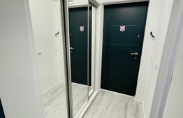 Garsoniera de vanzare, 30 mp, zona Brazda lui Novac