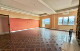 PENTHOUSE EXCLUSIVIST ÎN INIMA CRAIOVEI | 317 mp utili + 393 mp terase, Centru