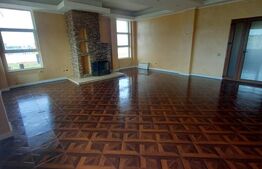 Penthouse de vanzare, 761 mp, zona Centrală 