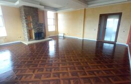 Penthouse de vanzare, 761 mp, zona Centrală 