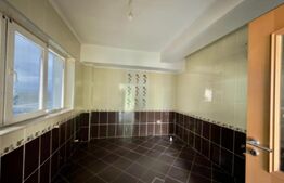 PENTHOUSE EXCLUSIVIST ÎN INIMA CRAIOVEI | 317 mp utili + 393 mp terase, Centru