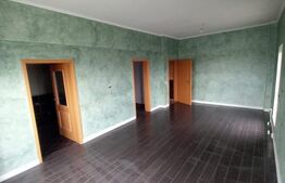 PENTHOUSE EXCLUSIVIST ÎN INIMA CRAIOVEI | 317 mp utili + 393 mp terase, Centru