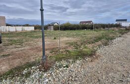 Teren intravilan Carcea, 19 m deschidere, toate utilitatile pe teren