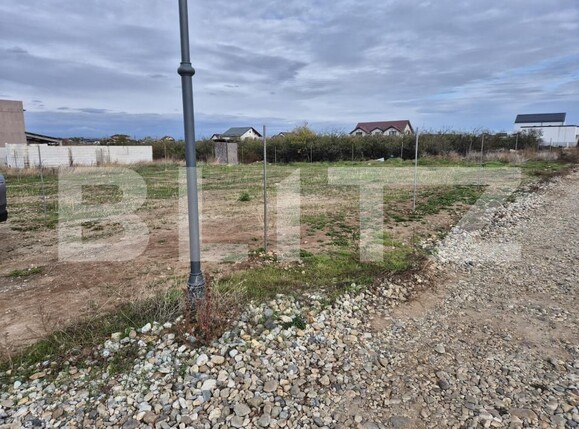 Teren de vânzare Carcea  - 184141TV | BLITZ Craiova | Poza2