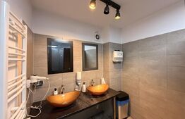 Etaj clădire birouri, 178 mp, parcare, Calea Severinului