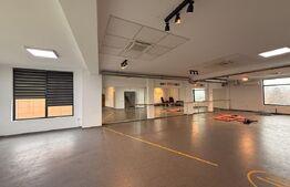 Etaj clădire birouri, 178 mp, parcare, Calea Severinului