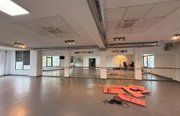 P + E clădire birouri, 334 mp, parcare, Calea Severinului