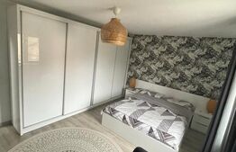 Casa 4 camere, 103 mp, zona Lapus/Bordei