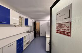 Casă cabinet medical cu apartament, 2 camere, 225 mp, zona 1 Mai