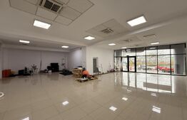 Parter clădire comercială, 156 mp, parcare, Calea Severinului