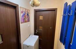 Apartament 2 camere, 36 mp, zona Valea Roșie /Scoala 29