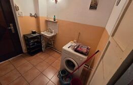 Camera camin, 20 mp, zona Valea Rosie/Sarari