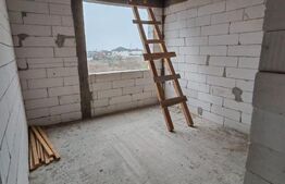 Casa Malu Mare - Capsunarie - Damila 