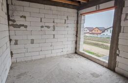 Casa Malu Mare - Capsunarie - Damila 