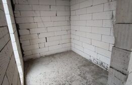 Casa Malu Mare - Capsunarie - Damila 