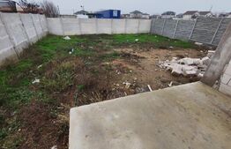 Casa Malu Mare - Capsunarie - Damila 