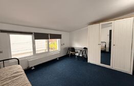 Cabinet medical și apartament 2 camere, 223mp, teren 253mp, zona 1 Mai