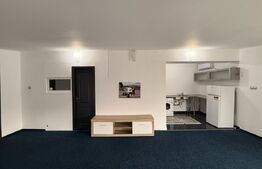 Cabinet medical și apartament 2 camere, 223mp, teren 253mp, zona 1 Mai