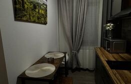 Garsoniera, 29,4 mp, zona centrală