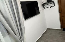 Garsoniera, 29,4 mp, zona centrală