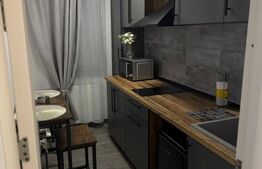 Garsoniera, 29,4 mp, zona centrală