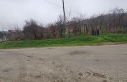Teren intravilan, 2000 mp, zona Brestei