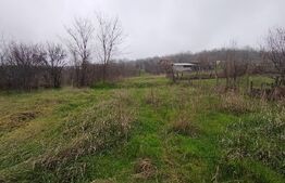 Teren intravilan, 2000 mp, zona Brestei