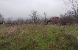 Teren intravilan, 2000 mp, zona Brestei