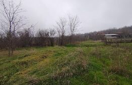 Teren intravilan, 2000 mp, zona Brestei