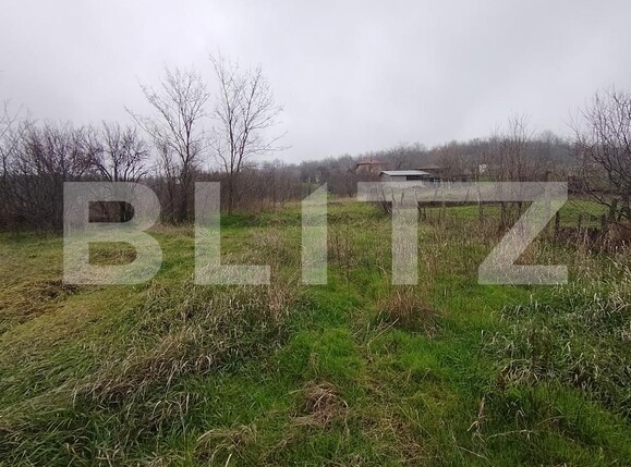 Teren de vânzare Brestei - 184655TV | BLITZ Craiova | Poza3