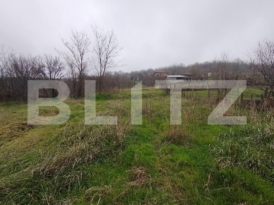 Teren de vânzare Brestei - 184655TV | BLITZ Craiova | Poza3