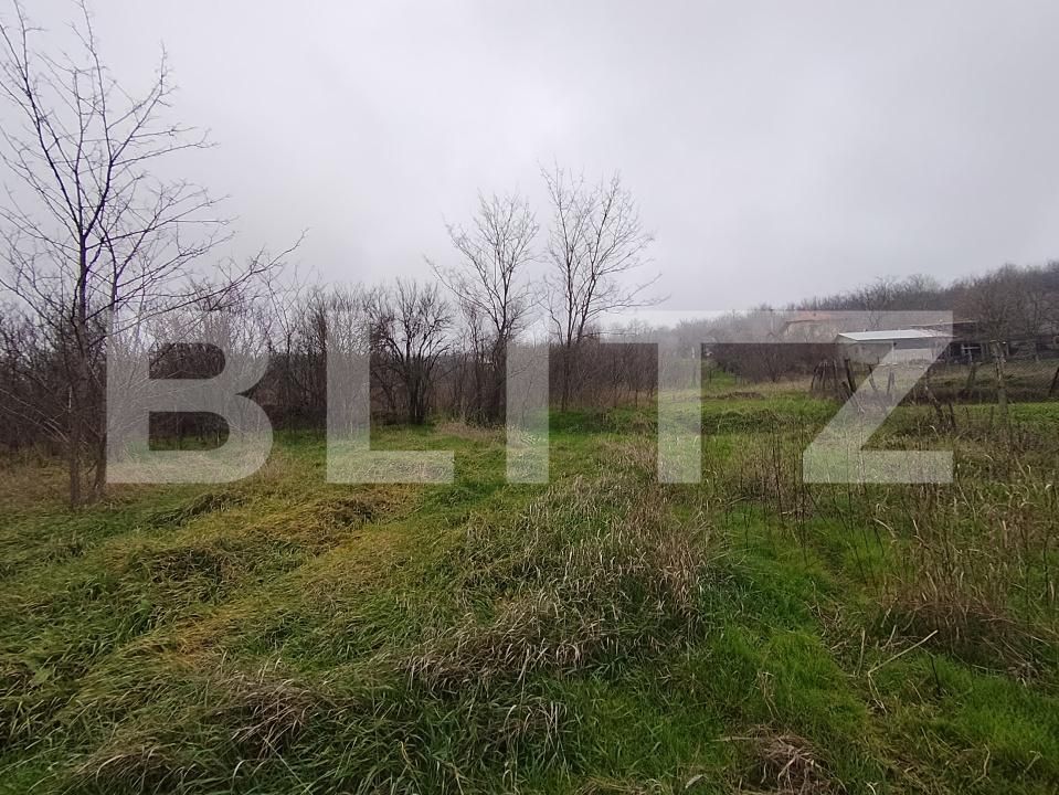 Teren de vânzare Brestei - 184655TV | BLITZ Craiova | Poza4