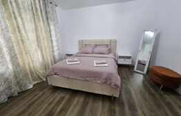 Casa, P+1, 240mp utili,teren 500 mp,piscina, jacuzzi, sauna, zona Selgros-Ionumi