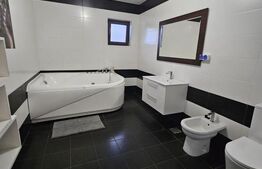 Casa, P+1, 240mp utili,teren 500 mp,piscina, jacuzzi, sauna, zona Selgros-Ionumi