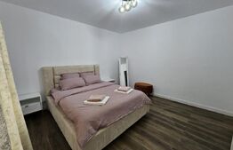 Casa, P+1, 240mp utili,teren 500 mp,piscina, jacuzzi, sauna, zona Selgros-Ionumi