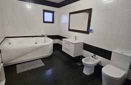 Casa, P+1, 240mp utili,teren 500 mp,piscina, jacuzzi, sauna, zona Selgros-Ionumi